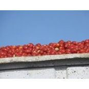 Anand Vaidyanathan's photo