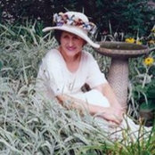 Beverly Davisさんの写真