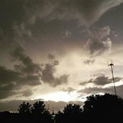 Lisa Reed's photo