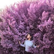 Helga Weber's photo