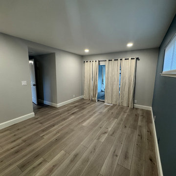 Home Remodel/ One Bath/paint/popcorn removal/LED Can lights/baseboards/Flooring