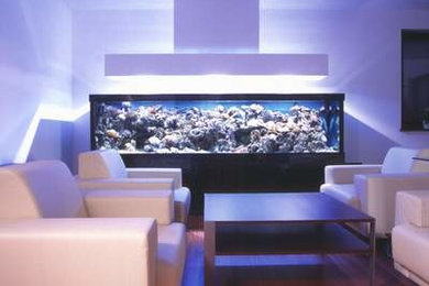 Inspiration for a contemporary living room remodel in Other