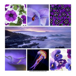 Wake Up Your Walls With Art - Products
