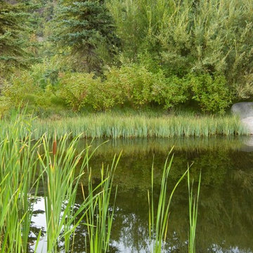Transformative Water