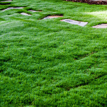 Backyard Transformation