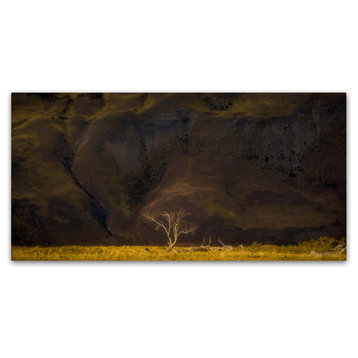 Dan Ballard 'The Tree' Canvas Art, 24"x12"