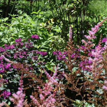 Woodland Garden