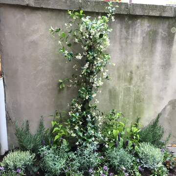 Philadelphia Patio