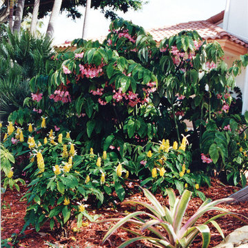 Shade Color for a Boca Raton Landscape