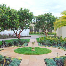 landscape plants