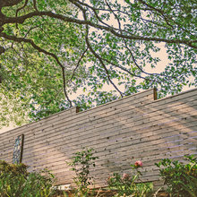 backyard corner