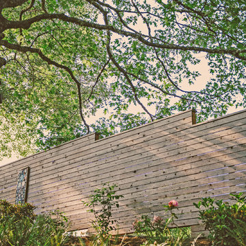Privacy Fence