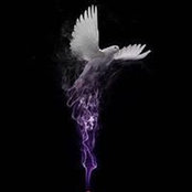 Dianna Wade's photo