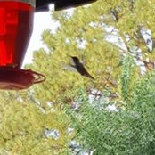 Erika Benavides's photo