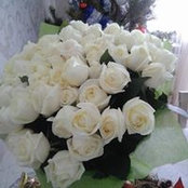 Foto di Ирина Арнопуло
