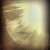 Alyson Schwartz's photo