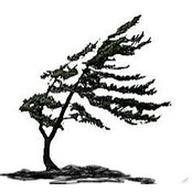 Jan Laraman's photo
