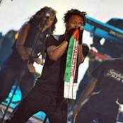 Steve Hajjaj's photo