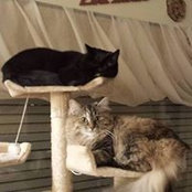 Sharon Halvorson Roeder's photo