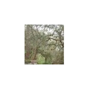 Geoff Falkner's photo