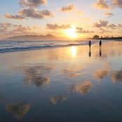 Foto von Susan Wiley