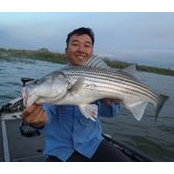 Shengyu Chua's photo