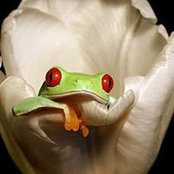 Foto von Desmond Yong