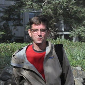 David Stocks billede