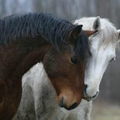 Kathy Nikolov's photo