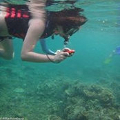 Bige Tantamco's photo