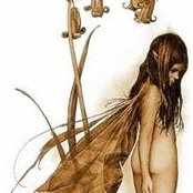 Lital Inbar's photo