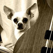Corri Gryting Gutzman's photo