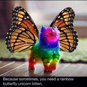 Paula Gr's photo