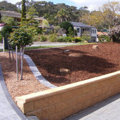 Patrick's Landscaping in Adelaide's photo
