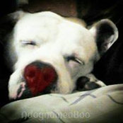 Shelly Dockrill's photo
