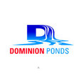 Dominion Ponds's profile photo