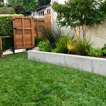 Not Just a Side Yard