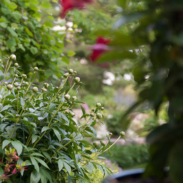Terraced slope garden