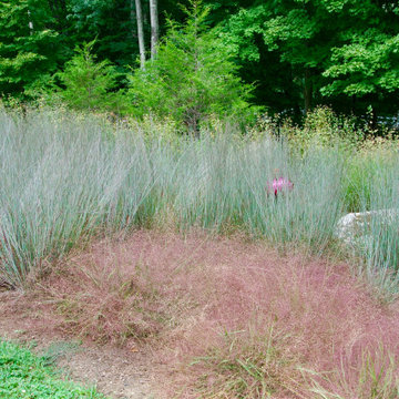 Native Meadow