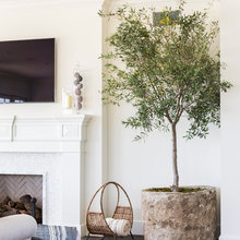 Interior Plants & Decor