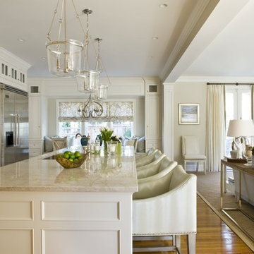 Classic Custom Modern Kitchen and Family Room