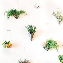 Floral Wall - Products