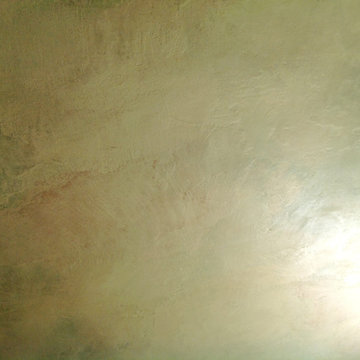 Venetian Plaster Wall in the W residence