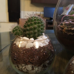 Project No.- 123 - Indoor Pots & Planters
