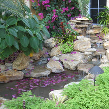 Ponds