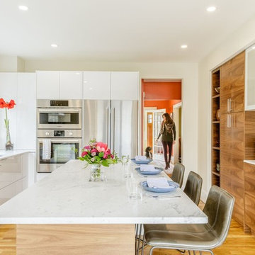 Kitchen and Powder Room Renovation