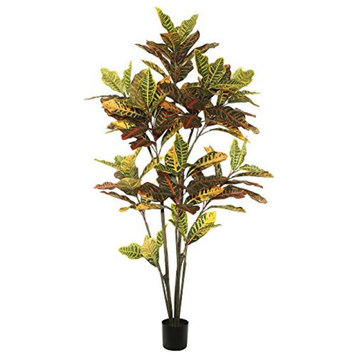 5' Potted Croton  Tree  W/104 Lvs-Green