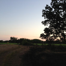 LAND PHOTOS