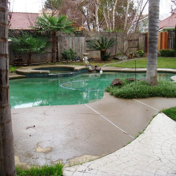 Swimming Holes
