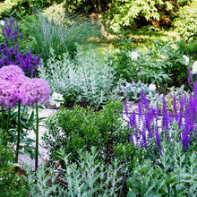 Garden on Holton's side